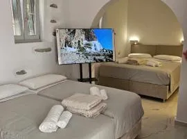 Aristotelis Homes