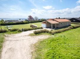 4 Bedroom Lovely Home In Faaborg，位于福堡的酒店