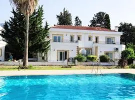 Tropical Cyprus Villa With Swimming Pool