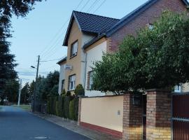 Pension Romann und Bauernferienhof，位于Annaburg的酒店