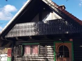 Chalet Kujavnk，位于克拉尼的乡村别墅