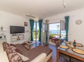 Apartments Viktor