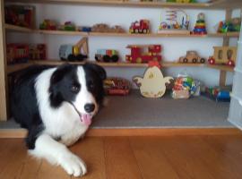 Sarari - Vacation STAY 66365v，位于Ichihara的酒店