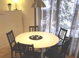 Aikku cabin in the heart of Lapland, free Lapin Kota, Budget week