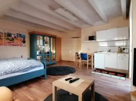 Großzügiges Wohnstudio mit Balkon und Badbenutzung