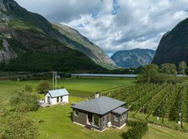 Jordeplegarden holiday home - Part of a farm - Two buildings - Close to Flåm，位于莱达尔绥里的别墅