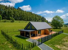 Na Zaciszu - apartament z jacuzzi，位于茨兹伊特纳的酒店