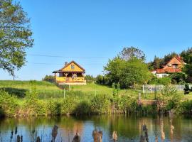 Domek Nad Stawem Bory Tucholskie，位于Świekatowo的酒店