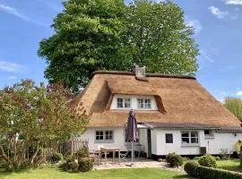 Ferienhaus Tade Bo