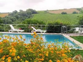 Quinta Santo António