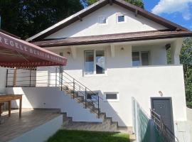 Casa NICORAD，位于Pucioasa的酒店
