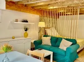 Studio COZY avec jardin au centre ville d'Hendaye à 10 minutes d'Espagne