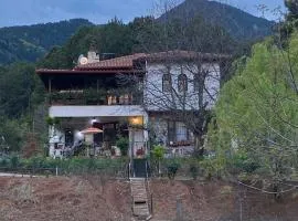 Koti Mountain House