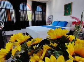 HOTELERA OCCIDENTAL SA DAVId，位于戴维的酒店