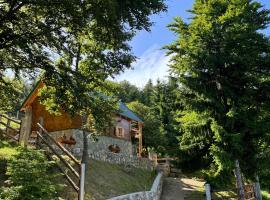 Cottage Under the Tresnjevik，位于Andrijevica的乡村别墅