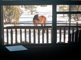 Cabin with Wild Horses, Fireplace, Dog Friendly & StarLink，位于Overgaard的酒店