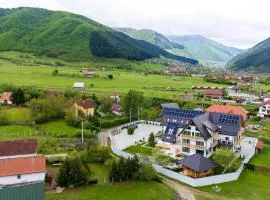 Pensiunea La Vâltoare