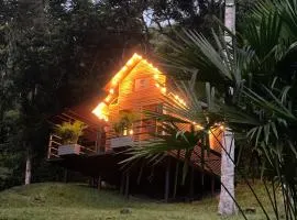 Cabañas Wilú