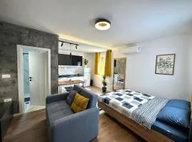 Central studio apartment