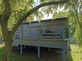 Tiny House & Alpaka-Erlebnis im Ruhner Land - Naturidylle pur