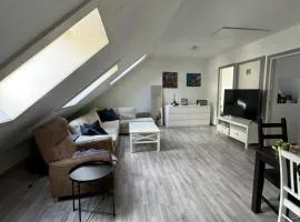 Spacious and central apartment I 250m from Bryggen