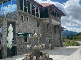 Hotel Ksenija，位于Gusinje的酒店