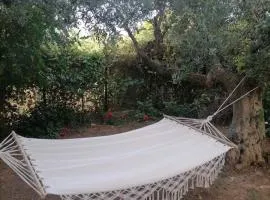 Studio P & P Polylimnio Waterfalls