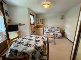 Studio calme avec balcon sud, parking, 4 pers max – Abondance - FR-1-692-100，位于阿邦当斯的酒店