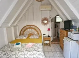 Petite case creole avec jardin au calme