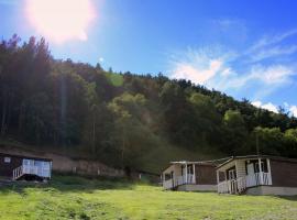 Forest Cabins，位于卡兹贝吉的酒店