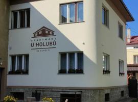 Apartmány u Holubů Na náměstí，位于罗斯诺夫·波德·拉德霍斯滕的酒店