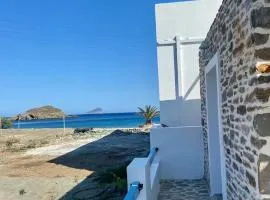 Acta Apartment
