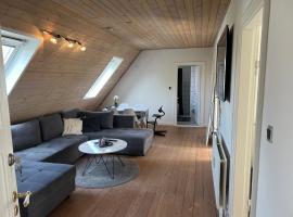 Penthouse apartment in Esbjerg townhouse，位于埃斯比约的酒店