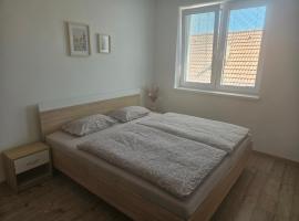 SALAN Apartman Šaľa，位于Šaľa的酒店