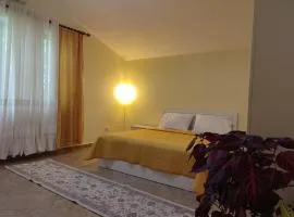Rooms Xani