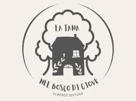 Nel Bosco di Giove - Albergo Diffuso