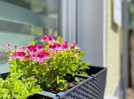 "Haus Bella"，位于科赫姆的酒店