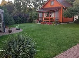 Domek pod jabłonią Mikoszewo