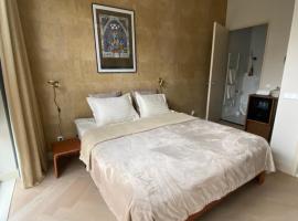 Gorgeous room near Haarlem Station, city center，位于哈莱姆的酒店