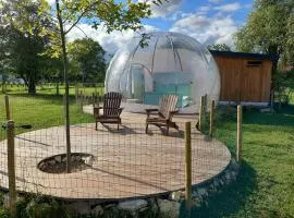 La Bulle des alpagas