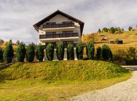 Bucegi Panorama，位于米奥修德萨斯的酒店