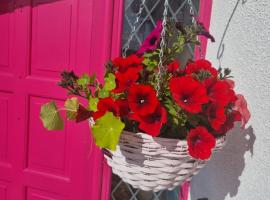 The Pink Door，位于Killala的酒店