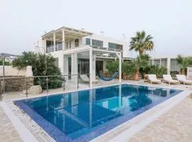 Villa Olympia in the palm trees