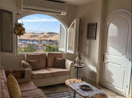 Aswan Nile view Family apartment，位于阿斯旺的酒店