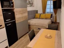Studio apartment Under the castle