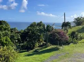 Appartement Les Balisiers - T3 spacieux vue sur mer