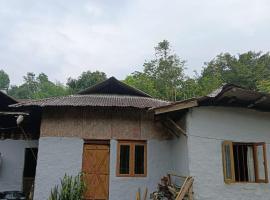 Nungsangjungla Homestay，位于Khensa的酒店