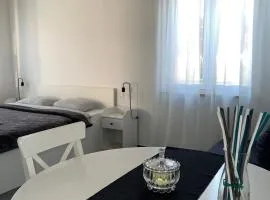 WHOLE HOUSE FOREST-yard and BBQ, private parking