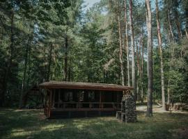 Forest Cabin - 50min od Warszawy，位于Wola Polska的度假屋