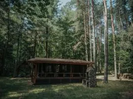 Forest Cabin - 50min od Warszawy